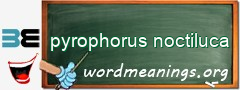 WordMeaning blackboard for pyrophorus noctiluca